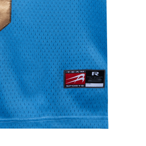 ROSE FOOTBALL JERSEY LIGHT BLUE